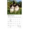 Plato; For the Love of Kittens | 2027 7 x 14 Inch (Hanging) Monthly Mini Wall Calendar; Category:Wall Calendars; Image:4